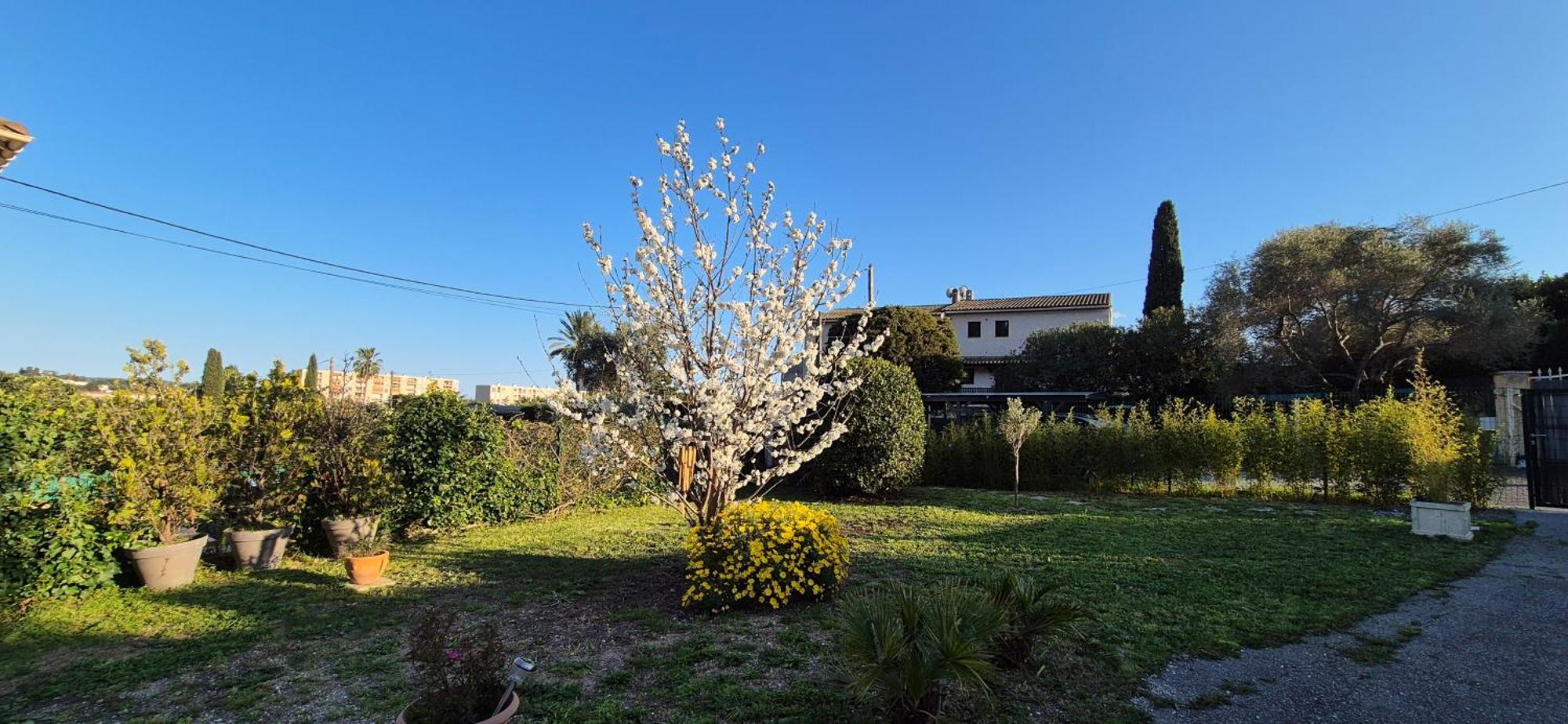 Studio Independant Avec Terrasse A Juan Les Pins Antibes Buitenkant foto